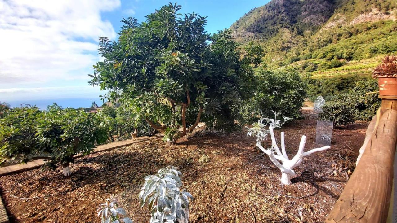 Casa Rural La Resbala - Casa Verde La Orotava Extérieur photo